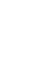 logo light